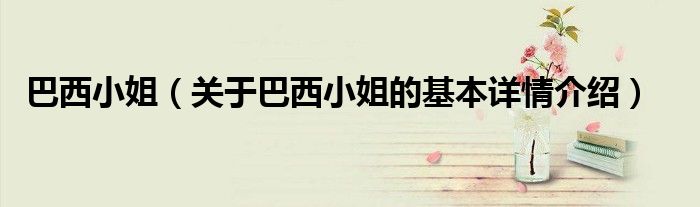 巴西小姐（关于巴西小姐的基本详情介绍）