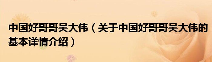 中国好哥哥吴大伟（关于中国好哥哥吴大伟的基本详情介绍）
