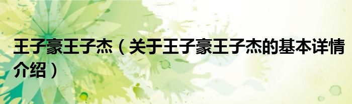 王子豪王子杰（关于王子豪王子杰的基本详情介绍）