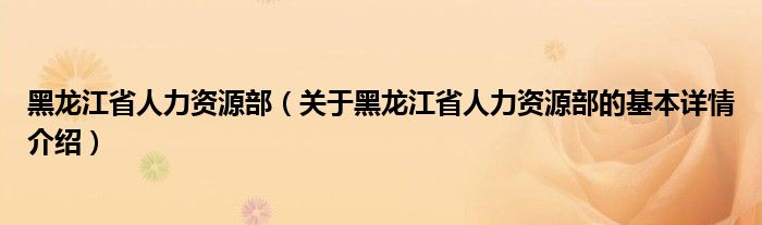 黑龙江省人力资源部（关于黑龙江省人力资源部的基本详情介绍）