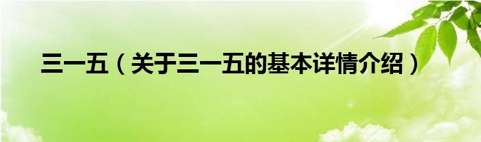 三一五（关于三一五的基本详情介绍）