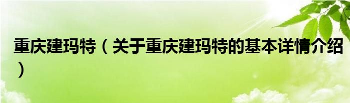 重庆建玛特（关于重庆建玛特的基本详情介绍）