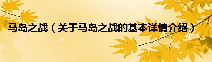 马岛之战（关于马岛之战的基本详情介绍）