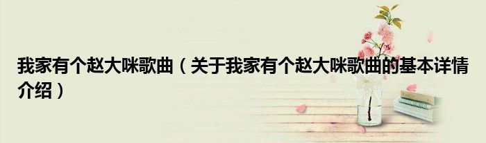 我家有个赵大咪歌曲（关于我家有个赵大咪歌曲的基本详情介绍）