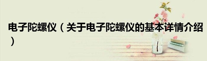 电子陀螺仪（关于电子陀螺仪的基本详情介绍）