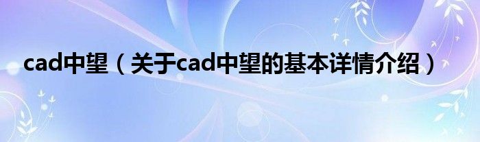 cad中望（关于cad中望的基本详情介绍）