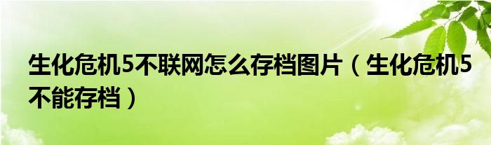生化危机5不联网怎么存档图片（生化危机5不能存档）