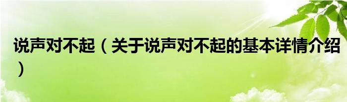 说声对不起（关于说声对不起的基本详情介绍）