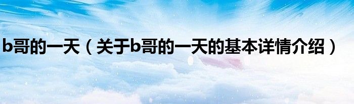 b哥的一天（关于b哥的一天的基本详情介绍）