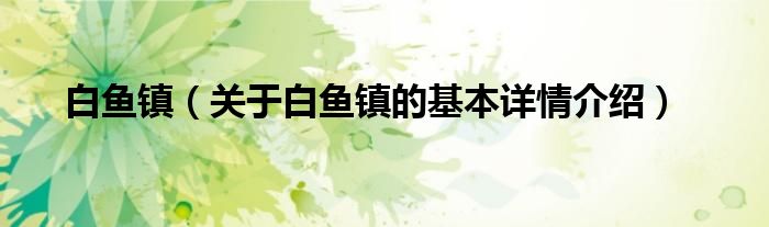 白鱼镇（关于白鱼镇的基本详情介绍）