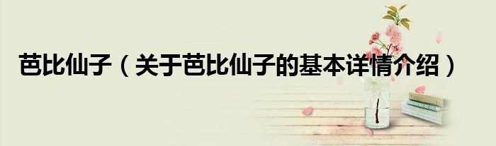 芭比仙子（关于芭比仙子的基本详情介绍）
