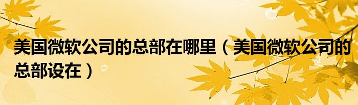 美国微软公司的总部在哪里（美国微软公司的总部设在）