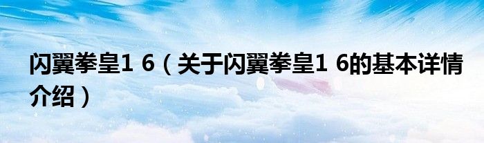 闪翼拳皇1 6（关于闪翼拳皇1 6的基本详情介绍）