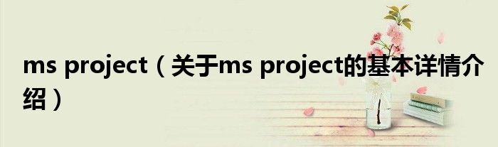 ms project（关于ms project的基本详情介绍）