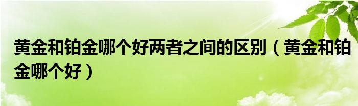 黄金和铂金哪个好两者之间的区别（黄金和铂金哪个好）
