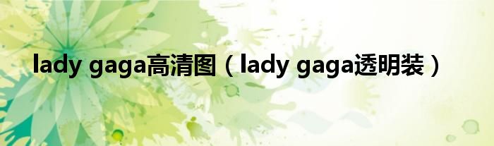 lady gaga高清图（lady gaga透明装）