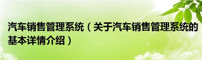 汽车销售管理系统（关于汽车销售管理系统的基本详情介绍）