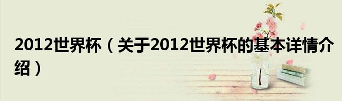 2012世界杯（关于2012世界杯的基本详情介绍）