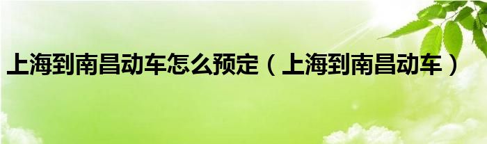 上海到南昌动车怎么预定（上海到南昌动车）