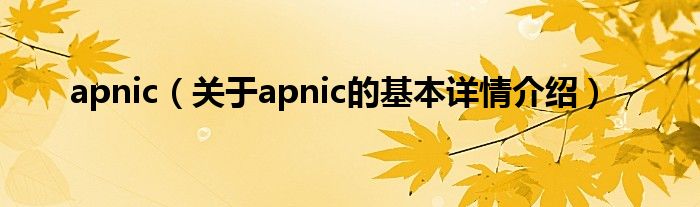 apnic（关于apnic的基本详情介绍）