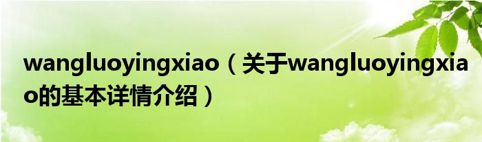wangluoyingxiao（关于wangluoyingxiao的基本详情介绍）