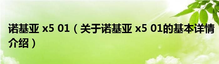 诺基亚 x5 01（关于诺基亚 x5 01的基本详情介绍）