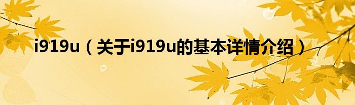i919u（关于i919u的基本详情介绍）