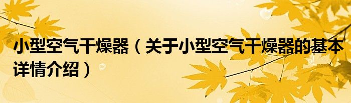 小型空气干燥器（关于小型空气干燥器的基本详情介绍）
