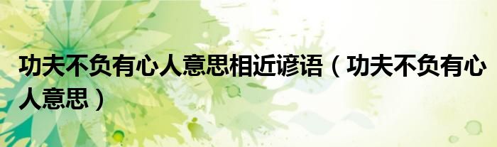 功夫不负有心人意思相近谚语（功夫不负有心人意思）