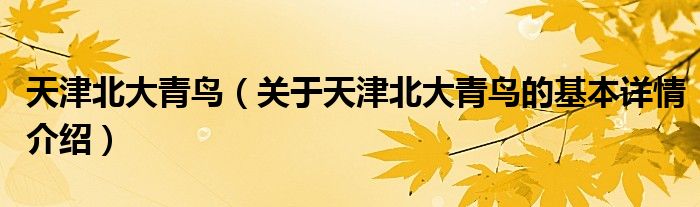 天津北大青鸟（关于天津北大青鸟的基本详情介绍）