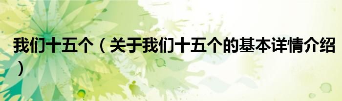 我们十五个（关于我们十五个的基本详情介绍）