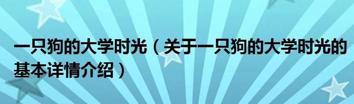 一只狗的大学时光（关于一只狗的大学时光的基本详情介绍）