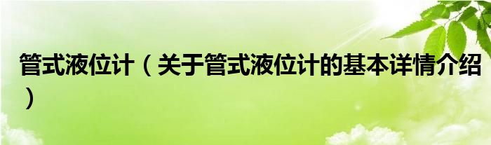 管式液位计（关于管式液位计的基本详情介绍）