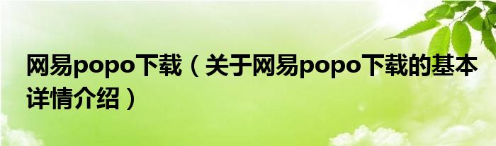 网易popo下载（关于网易popo下载的基本详情介绍）