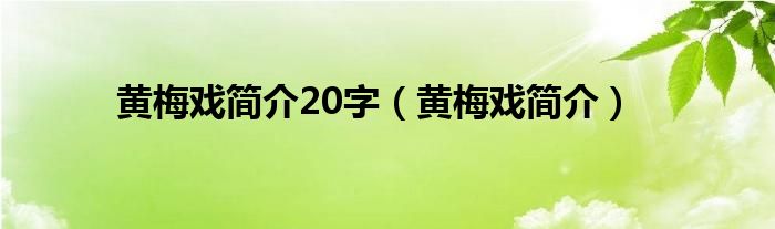 黄梅戏简介20字（黄梅戏简介）