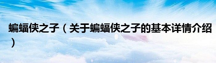蝙蝠侠之子（关于蝙蝠侠之子的基本详情介绍）