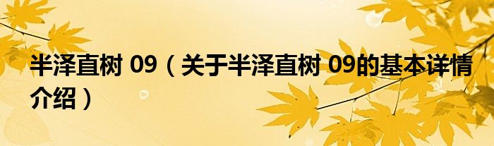 半泽直树 09（关于半泽直树 09的基本详情介绍）