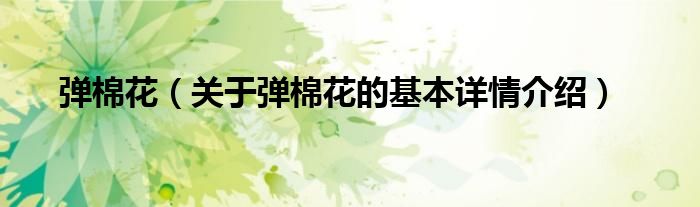 弹棉花（关于弹棉花的基本详情介绍）