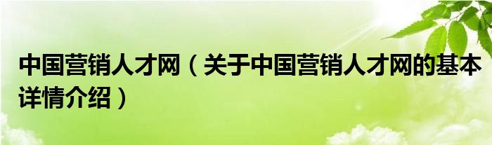 中国营销人才网（关于中国营销人才网的基本详情介绍）