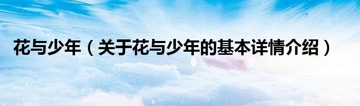 花与少年（关于花与少年的基本详情介绍）