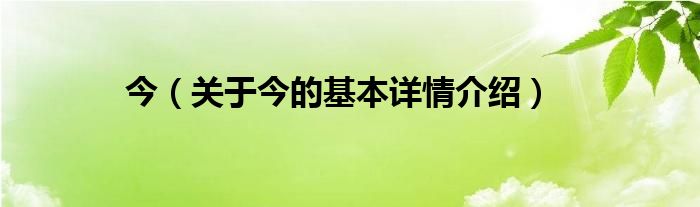 今（关于今的基本详情介绍）