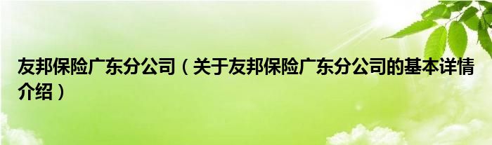 友邦保险广东分公司（关于友邦保险广东分公司的基本详情介绍）