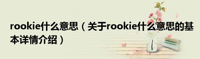 rookie什么意思（关于rookie什么意思的基本详情介绍）