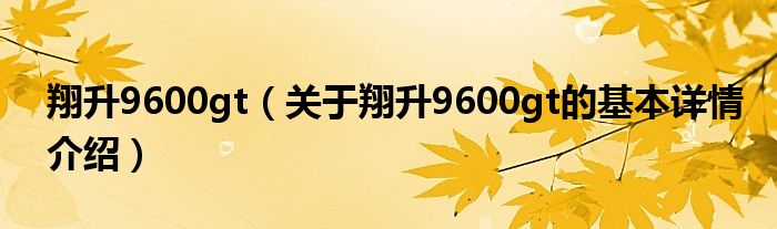 翔升9600gt（关于翔升9600gt的基本详情介绍）