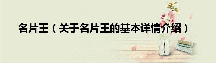 名片王（关于名片王的基本详情介绍）