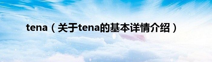 tena（关于tena的基本详情介绍）