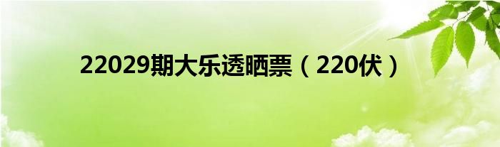 22029期大乐透晒票（220伏）