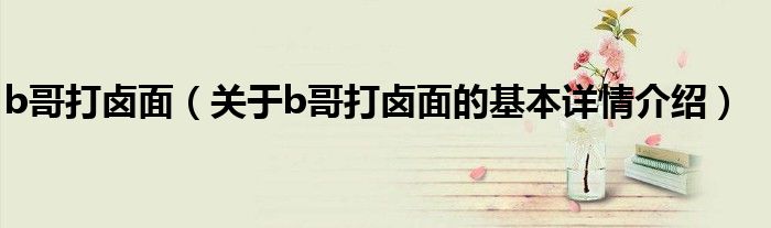 b哥打卤面（关于b哥打卤面的基本详情介绍）