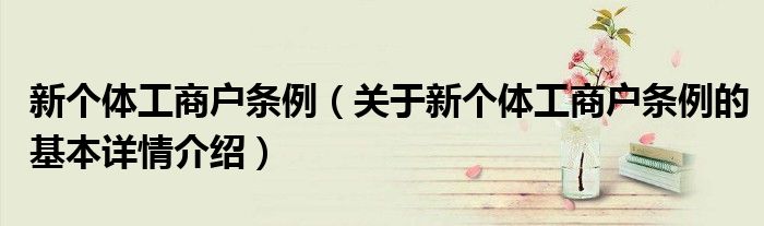 新个体工商户条例（关于新个体工商户条例的基本详情介绍）