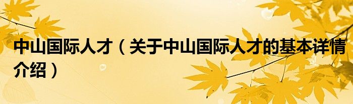 中山国际人才（关于中山国际人才的基本详情介绍）